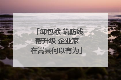 卸包袱 筑防线 帮升级 企业家在嵩县何以有为