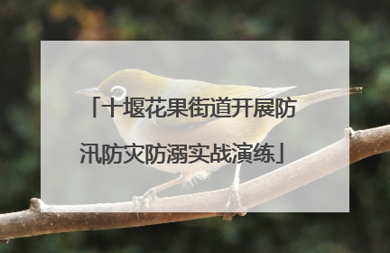 十堰花果街道开展防汛防灾防溺实战演练