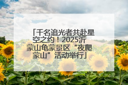 千名追光者共赴星空之约！2025沂蒙山龟蒙景区“夜爬蒙山”活动举行