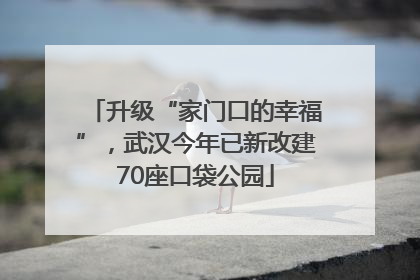 升级“家门口的幸福”，武汉今年已新改建70座口袋公园