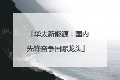 华太新能源:国内先锋奋争国际龙头