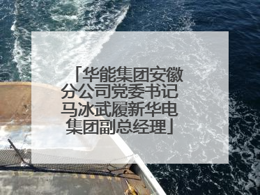 华能集团安徽分公司党委书记马冰武履新华电集团副总经理