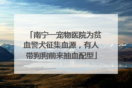 南宁一宠物医院为贫血警犬征集血源，有人带狗狗前来抽血配型