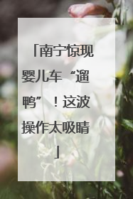 南宁惊现婴儿车“遛鸭”！这波操作太吸睛