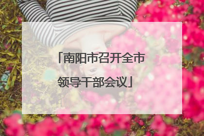 南阳市召开全市领导干部会议