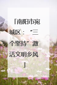 南阳市宛城区：“三个坚持”激活文明乡风