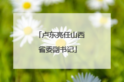 卢东亮任山西省委副书记