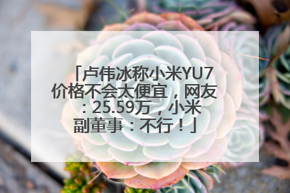 卢伟冰称小米YU7价格不会太便宜，网友：25.59万，小米副董事：不行！