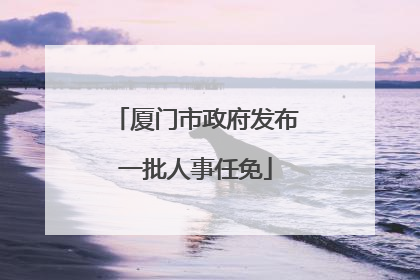 厦门市政府发布一批人事任免