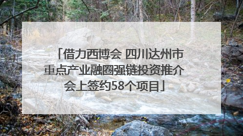 借力西博会 四川达州市重点产业融圈强链投资推介会上签约58个项目