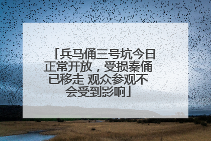 兵马俑三号坑今日正常开放，受损秦俑已移走 观众参观不会受到影响