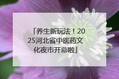 养生新玩法！2025河北省中医药文化夜市开幕啦