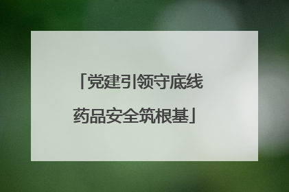 党建引领守底线 药品安全筑根基