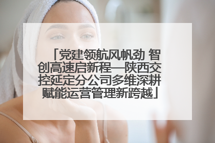 党建领航风帆劲 智创高速启新程—陕西交控延定分公司多维深耕赋能运营管理新跨越