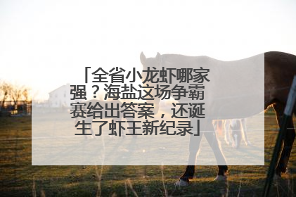 全省小龙虾哪家强？海盐这场争霸赛给出答案，还诞生了虾王新纪录