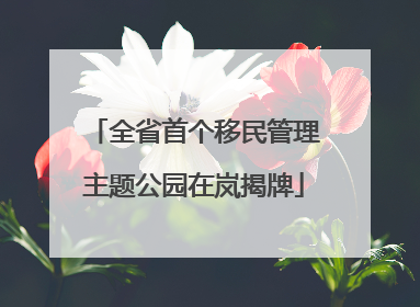 全省首个移民管理主题公园在岚揭牌