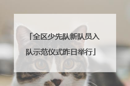 全区少先队新队员入队示范仪式昨日举行