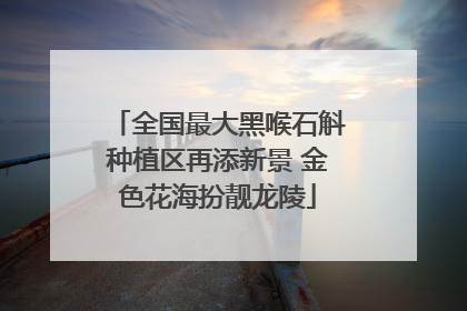 全国最大黑喉石斛种植区再添新景 金色花海扮靓龙陵