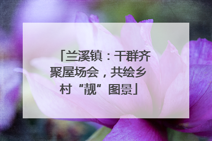 兰溪镇：干群齐聚屋场会，共绘乡村“靓”图景