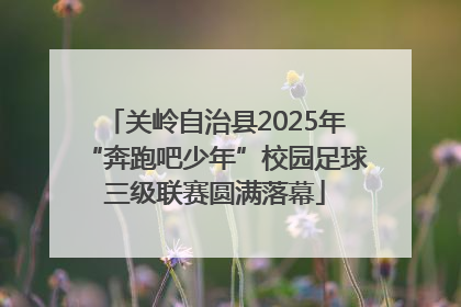 关岭自治县2025年“奔跑吧少年”校园足球三级联赛圆满落幕