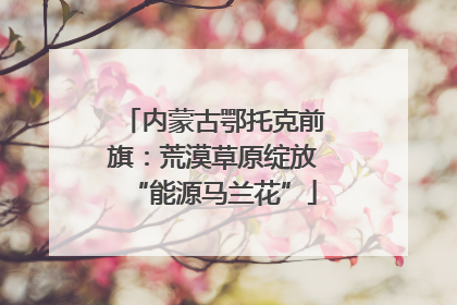 内蒙古鄂托克前旗：荒漠草原绽放“能源马兰花”