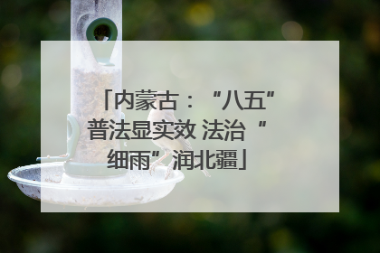 内蒙古：“八五”普法显实效 法治“细雨”润北疆