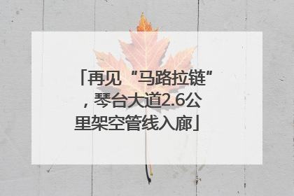 再见“马路拉链”，琴台大道2.6公里架空管线入廊