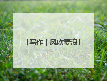 写作｜风吹麦浪