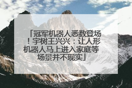 冠军机器人悉数登场！宇树王兴兴：让人形机器人马上进入家庭等场景并不现实
