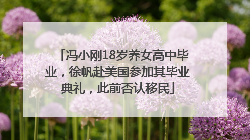 冯小刚18岁养女高中毕业，徐帆赴美国参加其毕业典礼，此前否认移民