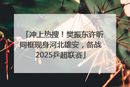 冲上热搜！樊振东许昕同框现身河北雄安，备战2025乒超联赛