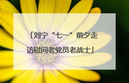 刘宁“七一”前夕走访慰问老党员老战士