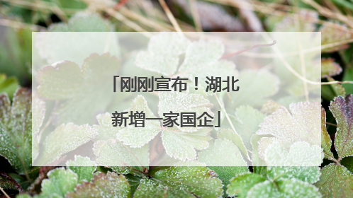 刚刚宣布！湖北新增一家国企