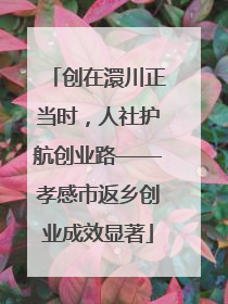 创在澴川正当时，人社护航创业路——孝感市返乡创业成效显著