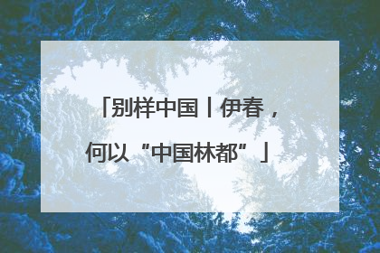别样中国丨伊春，何以“中国林都”