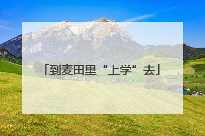 到麦田里“上学”去