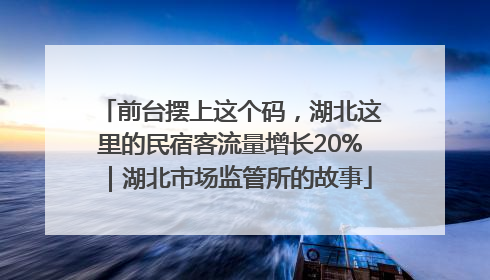前台摆上这个码，湖北这里的民宿客流量增长20%｜湖北市场监管所的故事