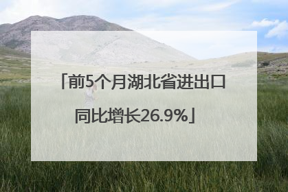 前5个月湖北省进出口同比增长26.9%