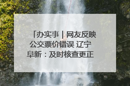 办实事｜网友反映公交票价错误 辽宁阜新：及时核查更正 加强实时巡检