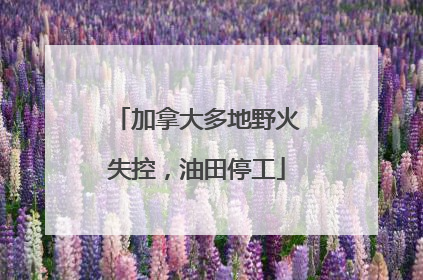 加拿大多地野火失控，油田停工