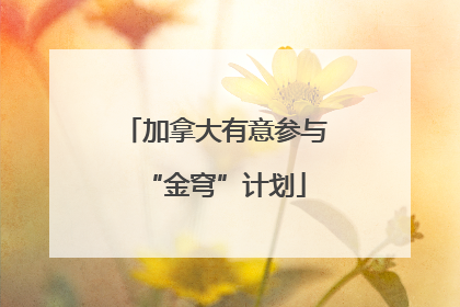 加拿大有意参与“金穹”计划
