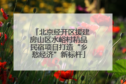 北京经开区援建房山区水峪村精品民宿项目打造“乡愁经济”新标杆
