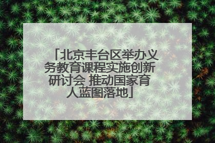 北京丰台区举办义务教育课程实施创新研讨会 推动国家育人蓝图落地
