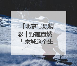 北京号最精彩｜野趣盎然！京城这个生态桥连通两大网红公园