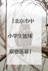 北京市中小学生篮球联赛落幕