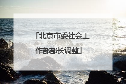 北京市委社会工作部部长调整