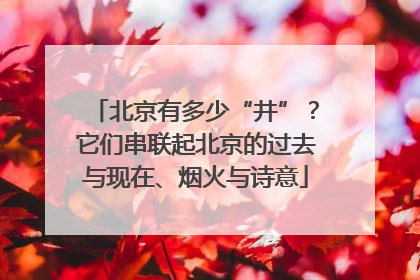 北京有多少“井”？它们串联起北京的过去与现在、烟火与诗意