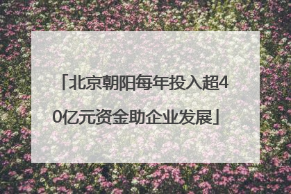 北京朝阳每年投入超40亿元资金助企业发展