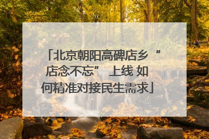 北京朝阳高碑店乡“店念不忘” 上线 如何精准对接民生需求