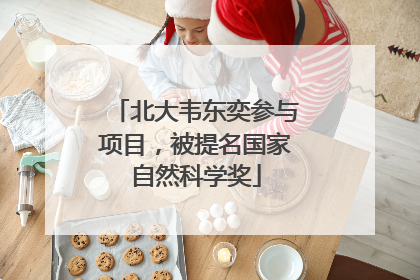 北大韦东奕参与项目，被提名国家自然科学奖